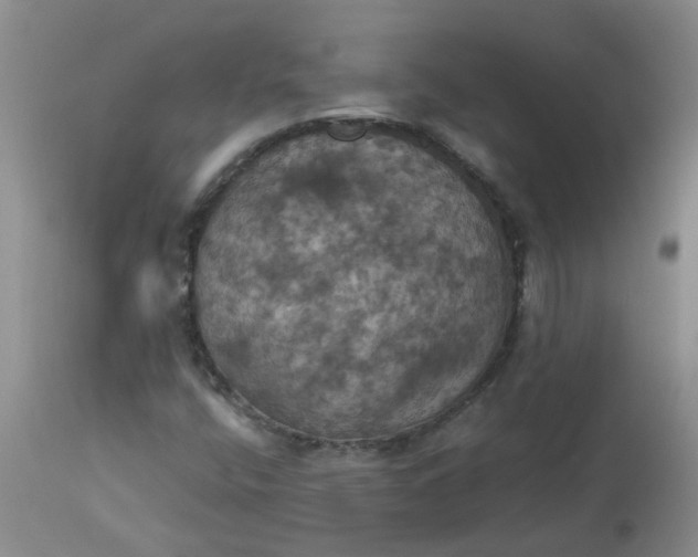 X0000113231400200910011358