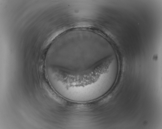 X0000113231401200910011358