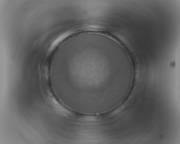 X0000113231402200910011358