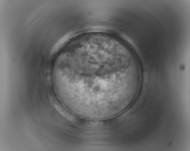 X0000113231403200910011358