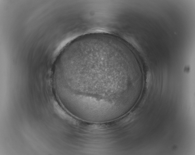 X0000113231404200910011358