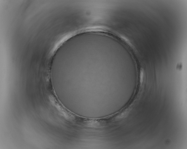 X0000113231405200910011358