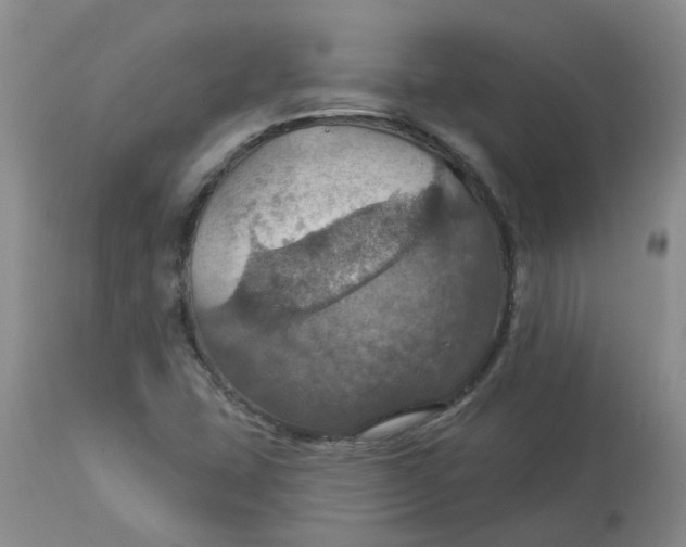 X0000113231407200910011358