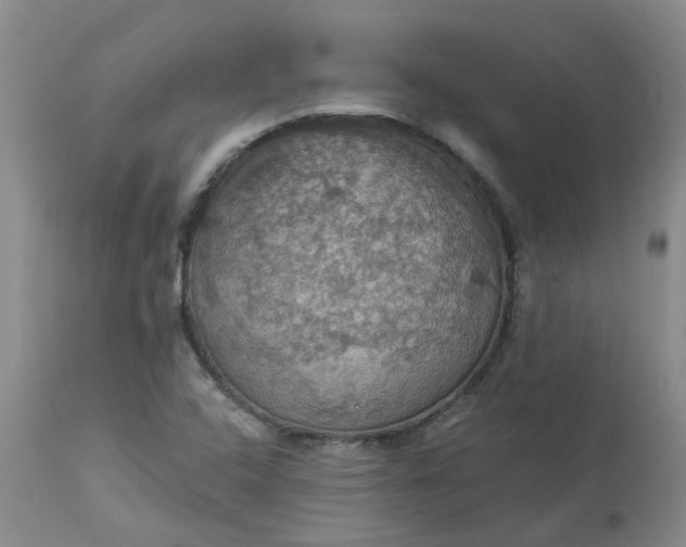 X0000113231408200910011358