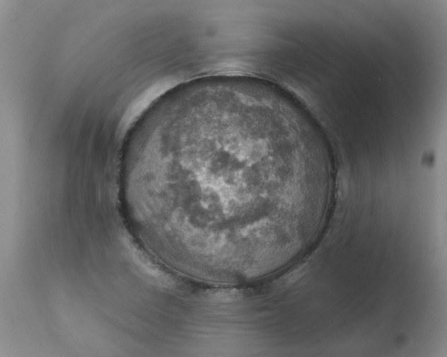 X0000113231410200910011358