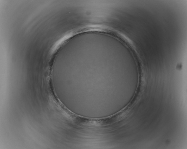 X0000113231411200910011358