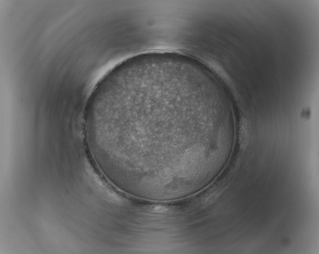 X0000113231412200910011358