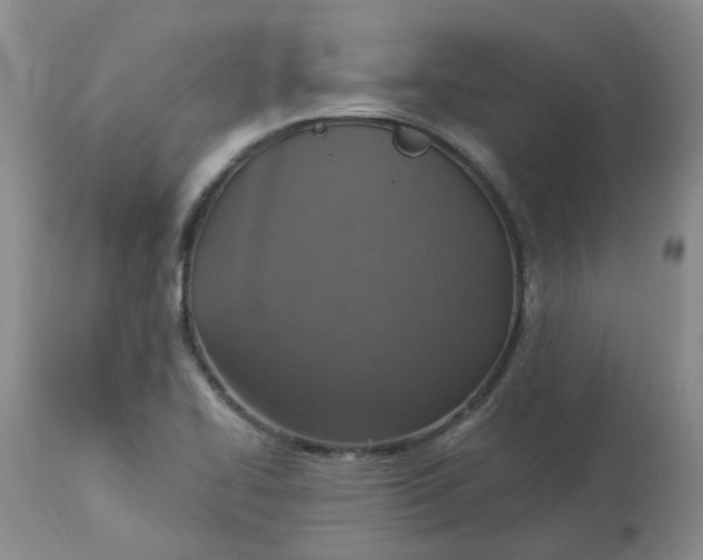 X0000113231414200910011358