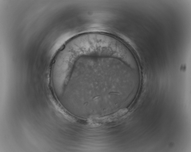 X0000113231415200910011358