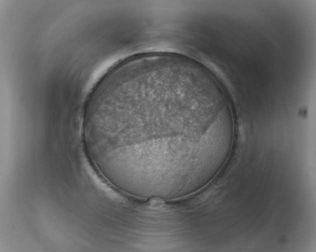 X0000113231416200910011358