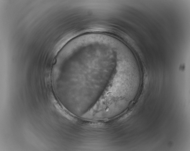 X0000113231417200910011358