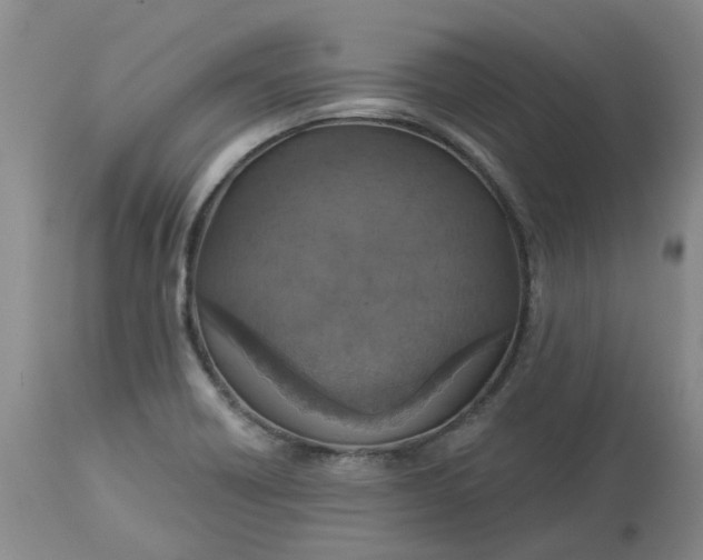 X0000113231418200910011358