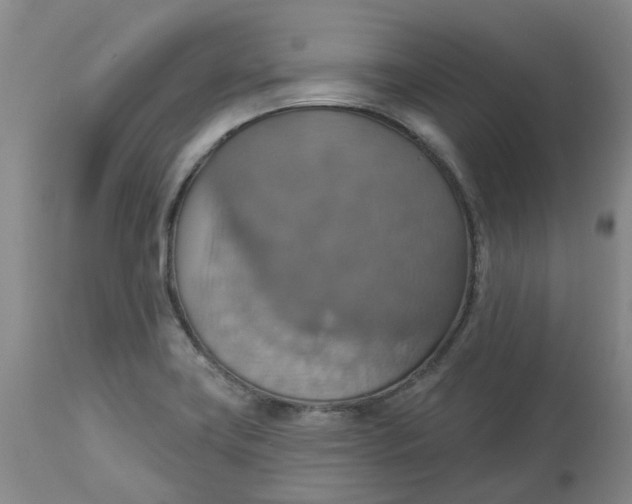 X0000113231419200910011358