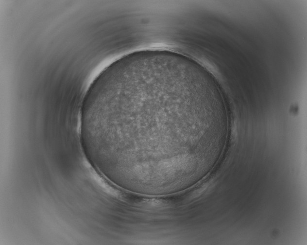 X0000113231420200910011358