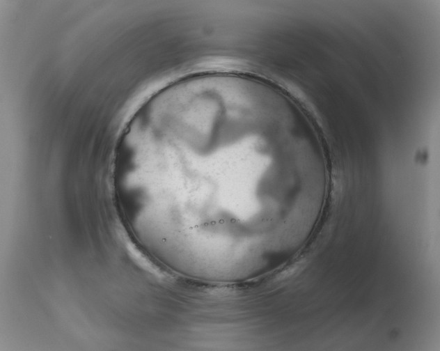 X0000113231421200910011358