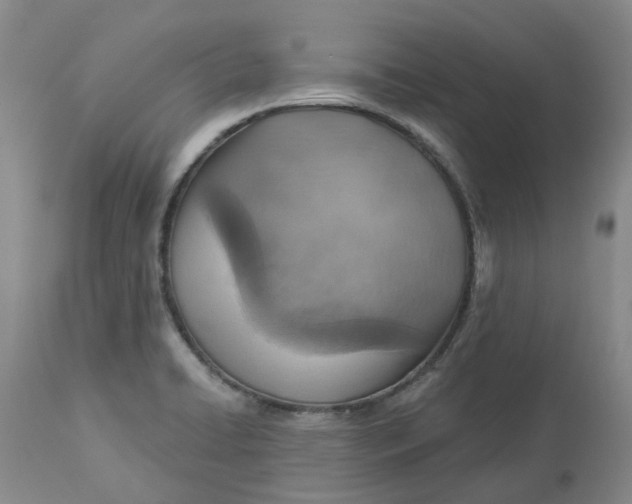 X0000113231422200910011358