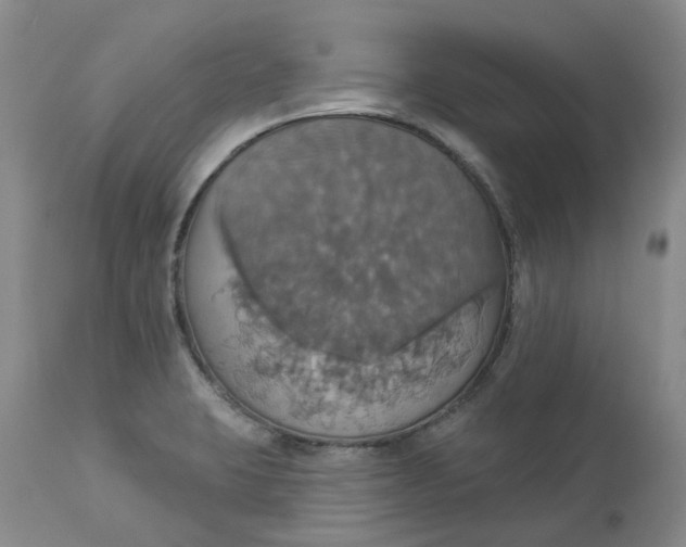 X0000113231423200910011358