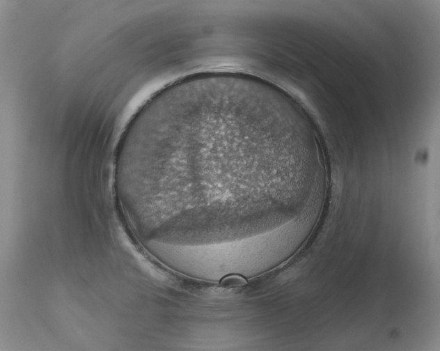 X0000113231424200910011358