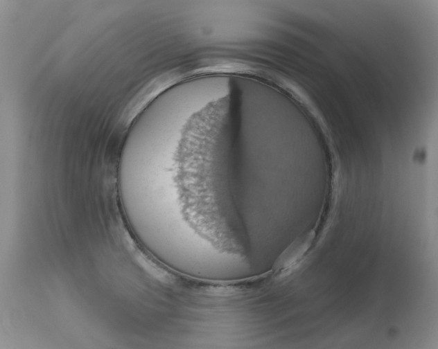 X0000113231425200910011358