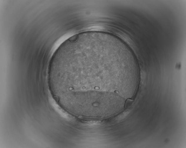 X0000113231426200910011358