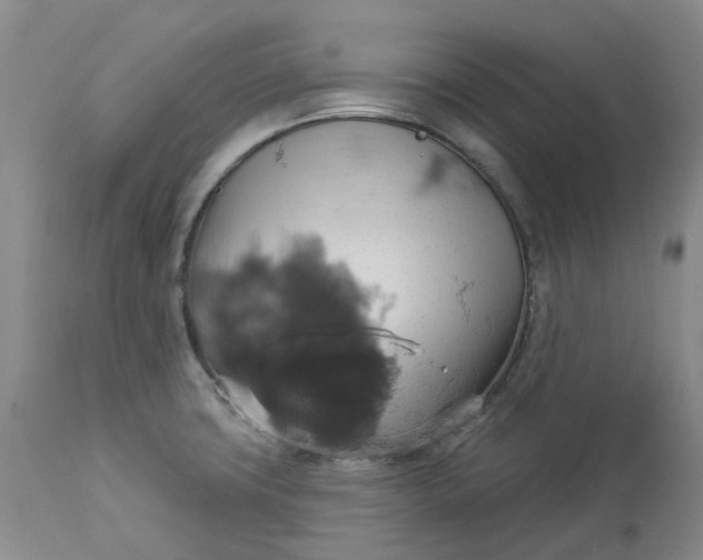 X0000113231427200910011358