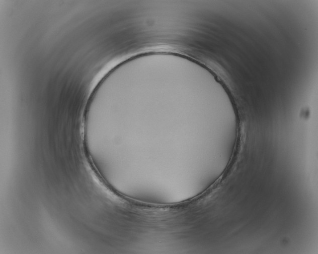 X0000113231428200910011359