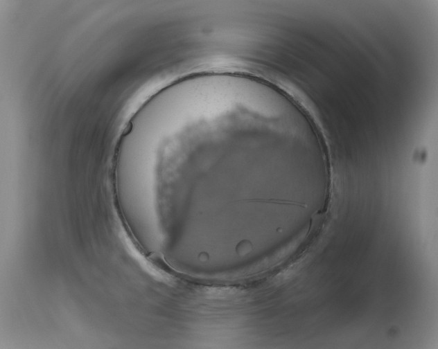 X0000113231429200910011359