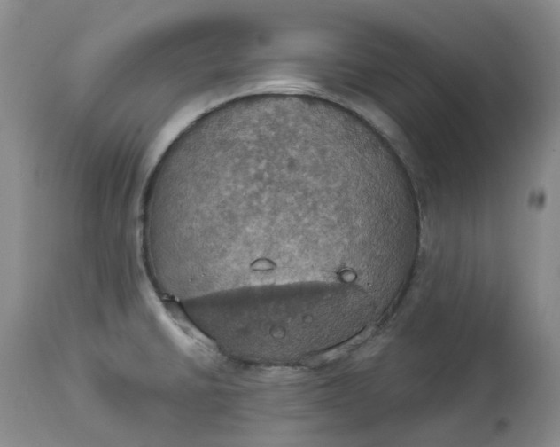 X0000113231430200910011359