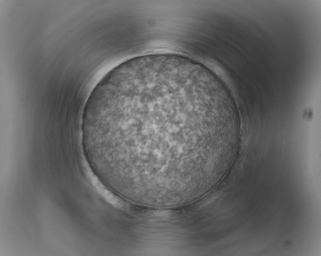 X0000113231431200910011359