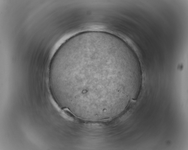 X0000113231432200910011359