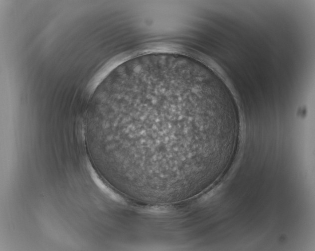 X0000113231433200910011359