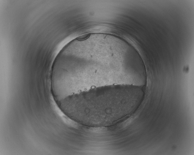 X0000113231434200910011359