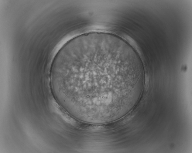 X0000113231435200910011359