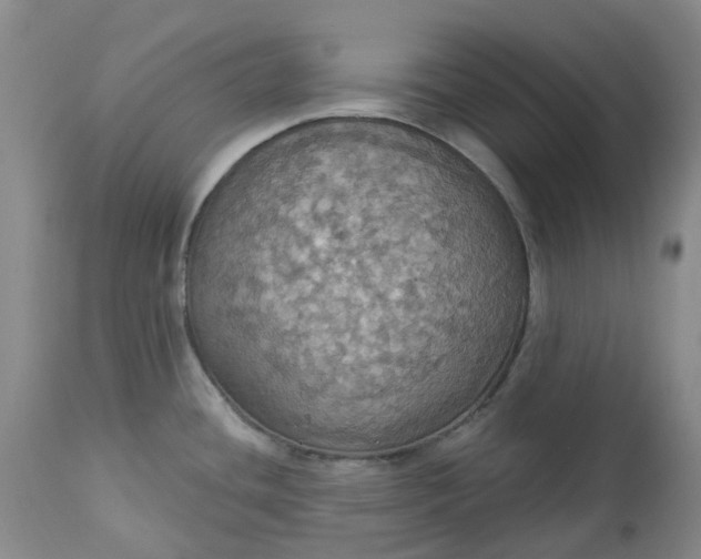 X0000113231436200910011359