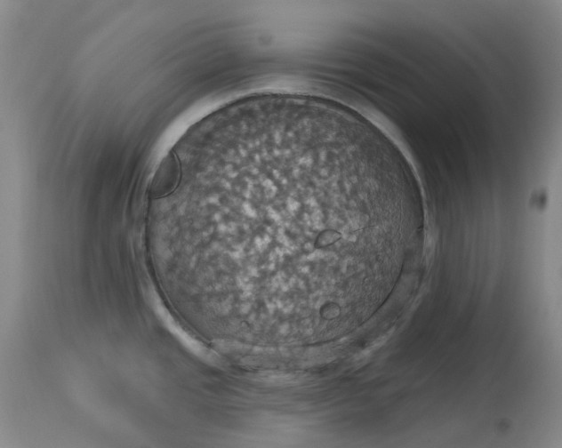 X0000113231437200910011359