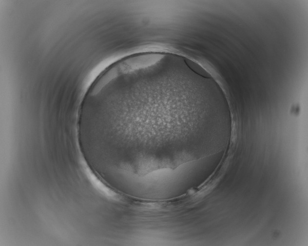 X0000113231438200910011359