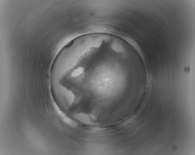 X0000113231439200910011359