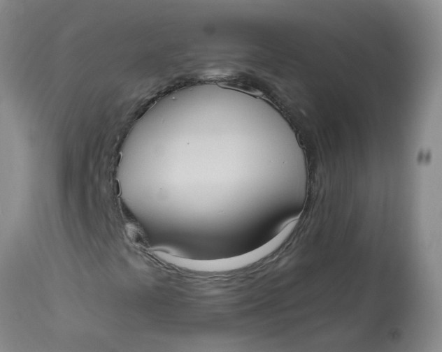 X0000113231441200910011358