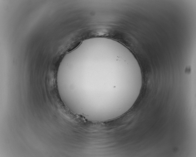 X0000113231442200910011358