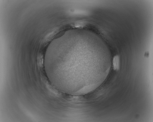 X0000113231443200910011358