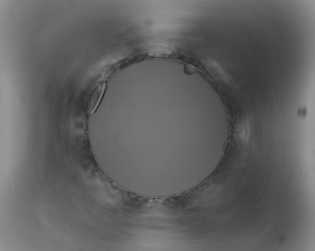 X0000113231445200910011358