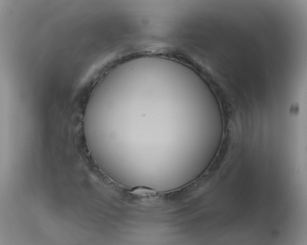 X0000113231447200910011358