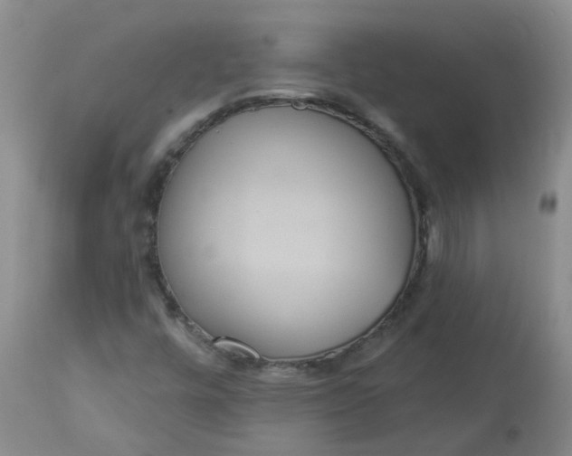 X0000113231448200910011358