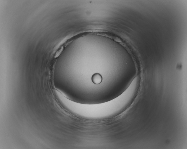 X0000113231449200910011358