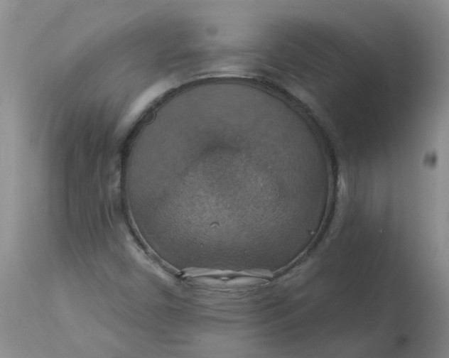 X0000113231450200910011358