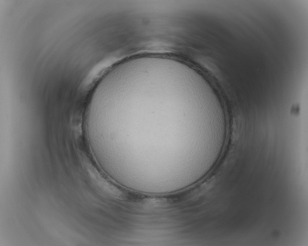 X0000113231451200910011358