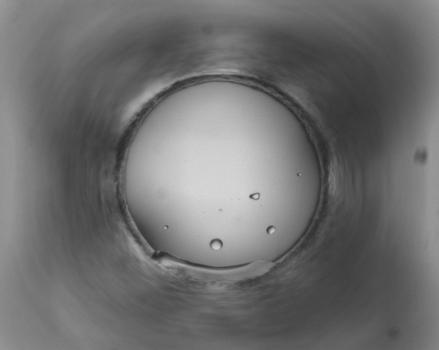 X0000113231452200910011358