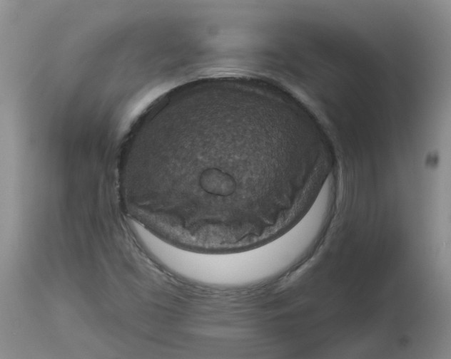 X0000113231453200910011358