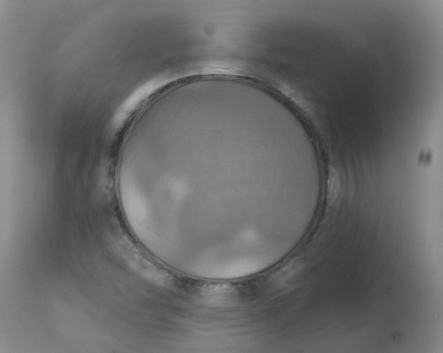 X0000113231454200910011358