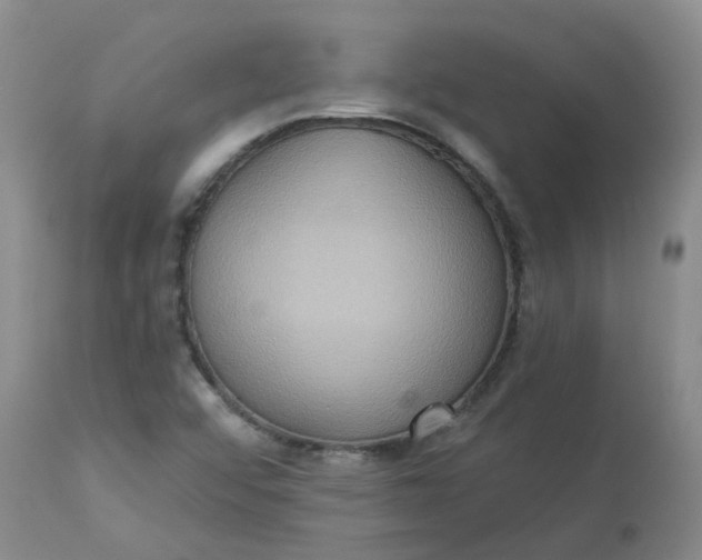 X0000113231456200910011358